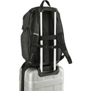 3950-02CAAngle-Right