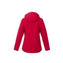 Team Red/Heather Dark Charcoal Gray Blank Back View