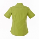 Dark Citron Green Blank Back View