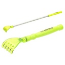 Lime Green