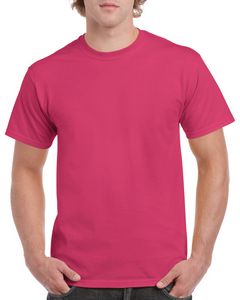 Heliconia Pink