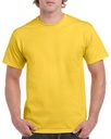 Daisy Yellow