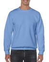 Carolina Blue