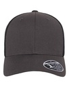Charcoal Gray/Black