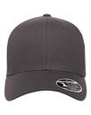 Charcoal Gray