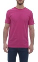 Heleconia Pink