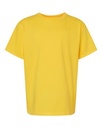 Daisy Yellow