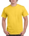 Daisy Yellow