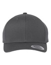 Charcoal Gray