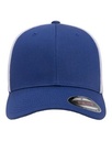 Royal Blue/White