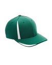 Sp Forest/ White