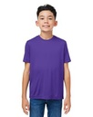 Campus Purple