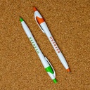Image 21