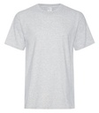 Ash Grey***