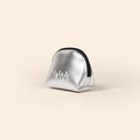 Metallic Silver