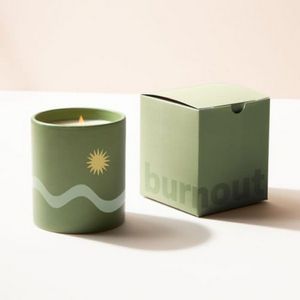 Fern With Gift Box