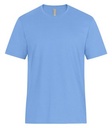 Carolina Blue