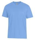 Carolina Blue