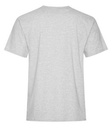 Ash Grey*