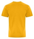 NEW Team Gold