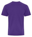 NEW Team Purple