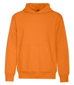 Orange Burst