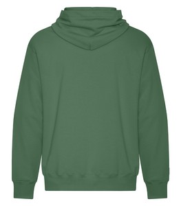 NEW Balsam Green