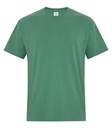 NEW Earth Cypress