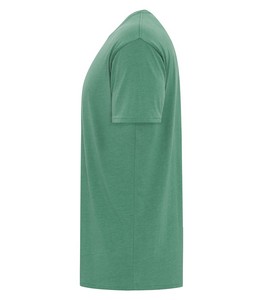NEW Earth Cypress