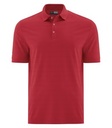 Salsa Red