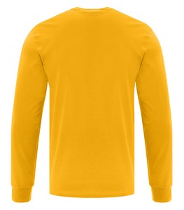 NEW Team Gold
