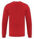 NEW Team Red