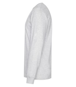 Ash Grey***