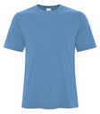 Carolina Blue