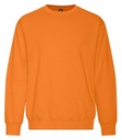 Orange Burst