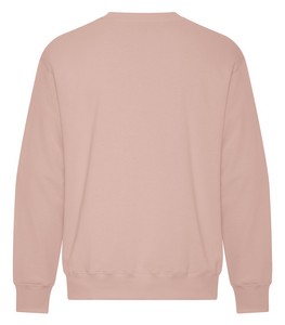NEW Dusty Rose