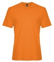 Orange Burst