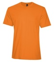 Orange Burst