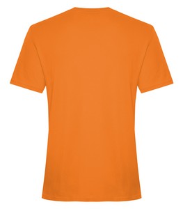 Orange Burst