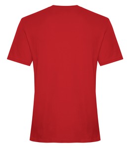 Scarlet Red