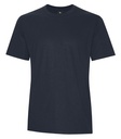 Midnight Blue
