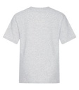 Ash Grey***