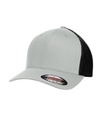 Silver/Black