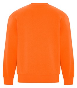 Safety Orange*