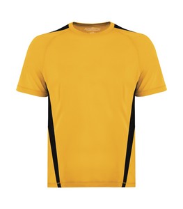 Gold/Black