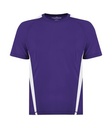 Purple/White