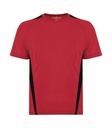 True Red/Black