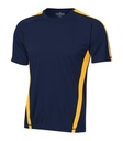 True Navy/Gold