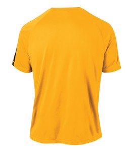 Gold/Black