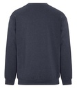 Earth Navy